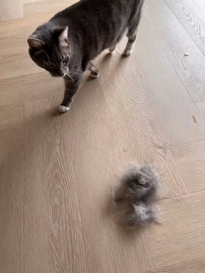 Cepillo a vapor 3 en 1 para mascotas. - “3-in-1 Steam Brush for Pets” .